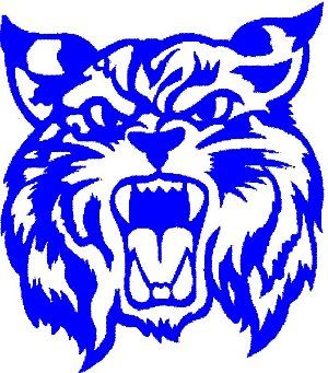 Wildcat Logo